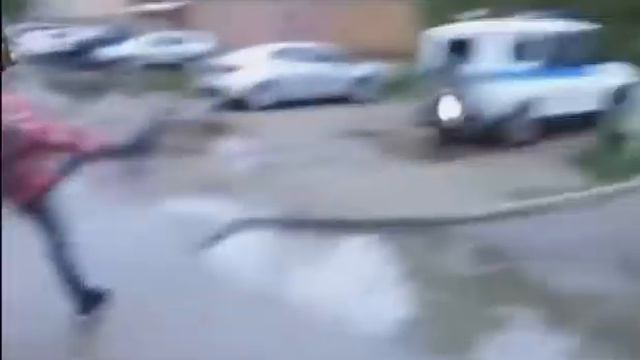 Stalker ball (discord meme) смотреть онлайн