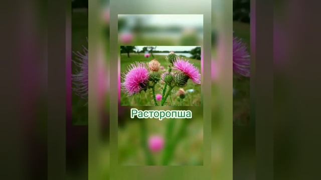 Как #стройнеть во #сне смотреть онлайн