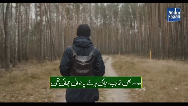 Tum Rooth Chuke Dil Toot Chuka Ab Yad Na Aao Rehne Do - Tearful Kalam 2023 - Zeeshan Hassani смотреть онлайн