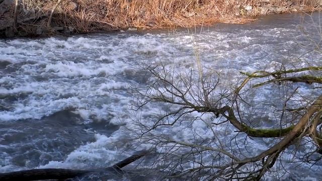 Дед продал внучку в рабство жестокому тирану. Он долго глумился, не ведая что его ждет дальше смотреть онлайн