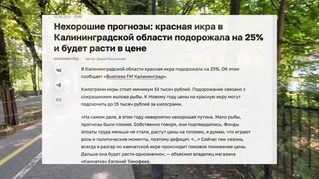 Калининград - Фестивальная аллея