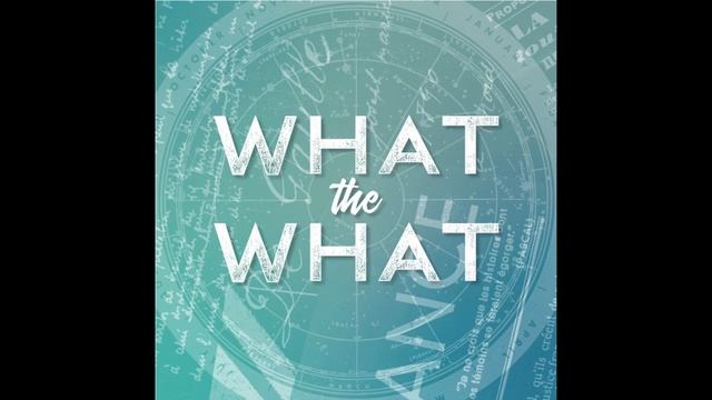 WTW Season 1 Episode 8 What The What Is The Manhunt