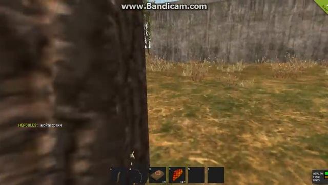 2 видео по rust смотреть онлайн