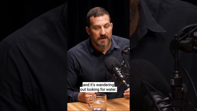 The importance of dopamine in focus - Dr. Andrew Huberman смотреть онлайн