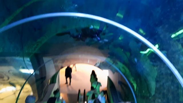 Rutube_account_23544137