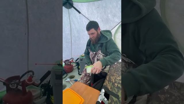 рыбалка на уелгах.🎣 смотреть онлайн