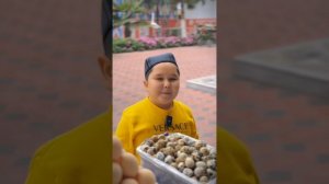 Шум Бола вайнлар 11