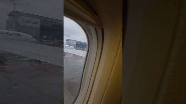 До свидания, дождливый, но любимый Стамбул. смотреть онлайн