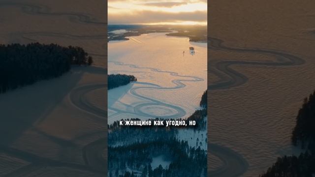 Максим Вердикт