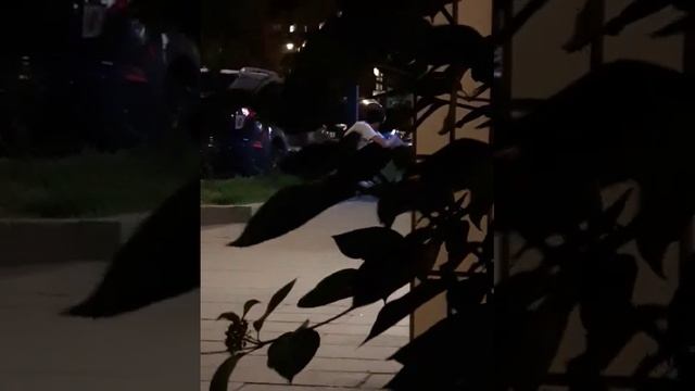 пранк свисток смотреть онлайн