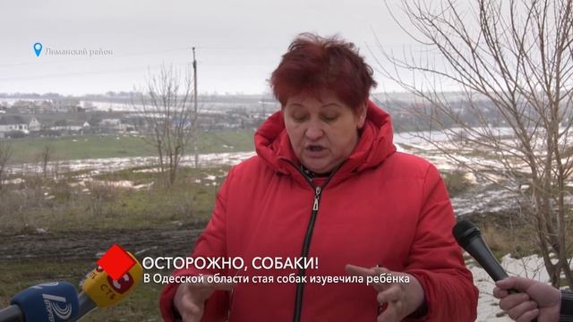 В Одесской области стая собак изувечила ребёнка смотреть онлайн