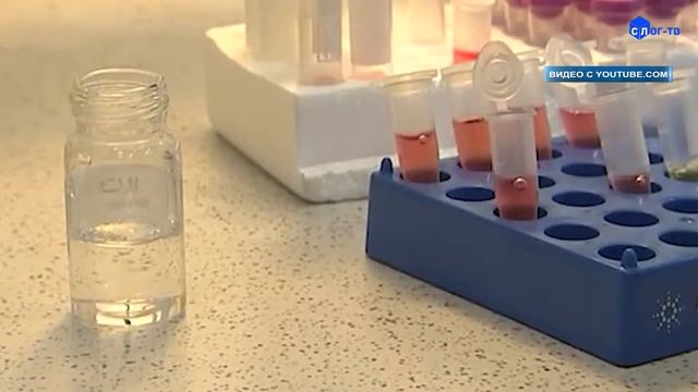 ВЛИЯЕТ ЛИ ВАКЦИНА НА НАСЛЕДСТВЕННОСТЬ смотреть онлайн
