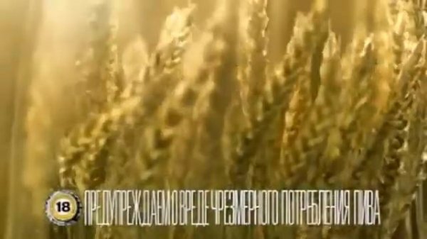 Реклама Балтика