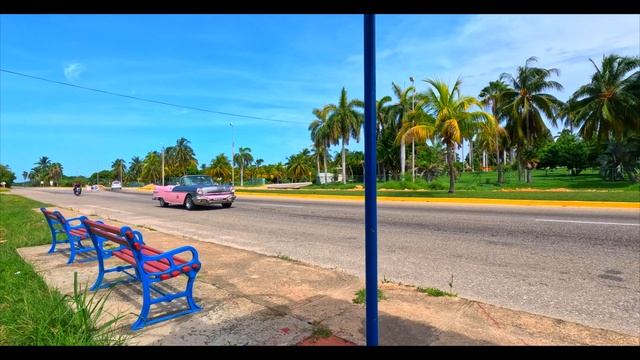 Cuba | Varadero 2023 | Hotel Sol Palmeras