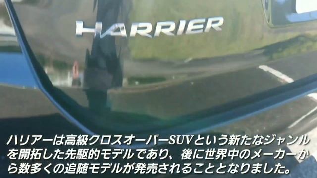 新型RAV4 vs 新型ハリアー！人気SUVを比較した結果…！試乗車 内外装 トヨタ toyota ラゲッジ смотреть онлайн