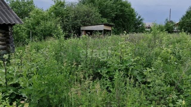 11233303 смотреть онлайн