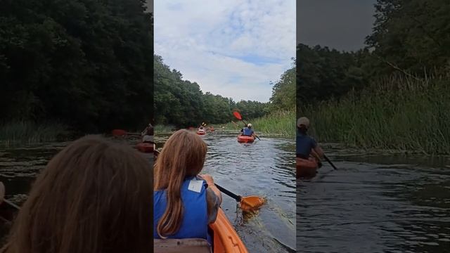Озёрск Калининградской обл. 19.08.23.мои роднульки!! смотреть онлайн