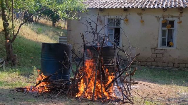 Divine Way to Cook Whole Chickens Under 210 Litres Barrel! YOU MUST TRY IT! смотреть онлайн