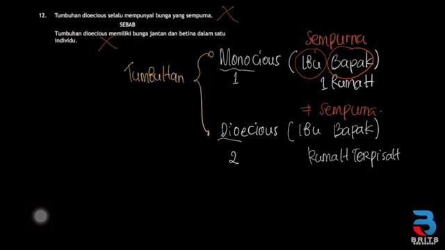 PEMBAHASAN LATIHAN SOAL BIOLOGI 3 (11, 12, 14) смотреть онлайн