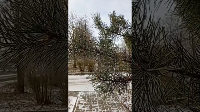 Настрой дня : люты смотреть онлайн
