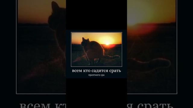 мемы | дневная подборка мемов | смешные мемы | видео мемы | смешнве видео | смешные приколы |#132 смотреть онлайн