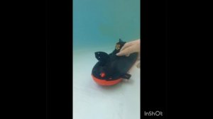 Подводная лодка! )))