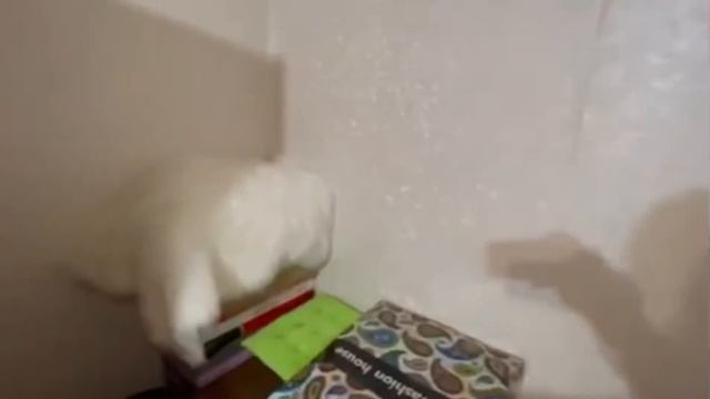 Сдаётся однушка у метро Зябликово