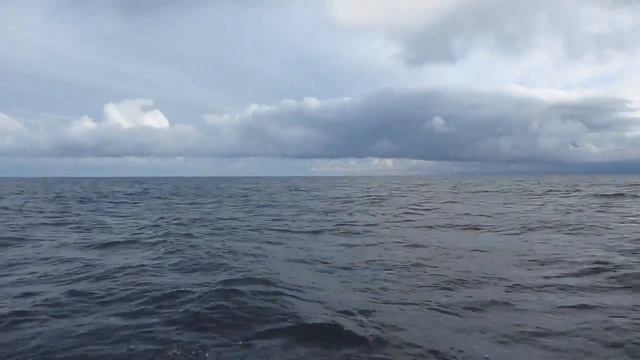 Загадочная Онега смотреть онлайн