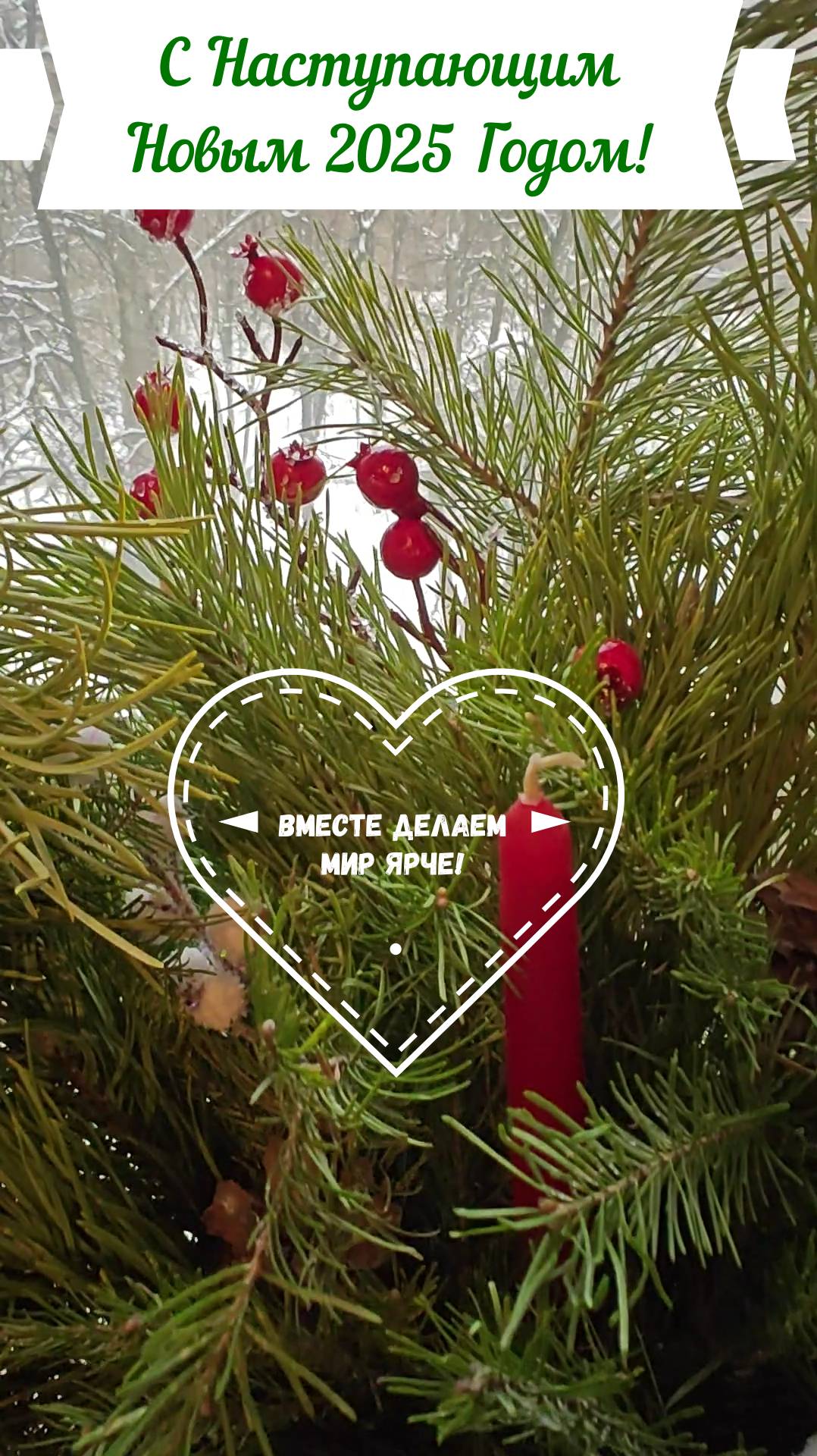 Цвет декабря 2024