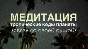 Kristi EVO тропические коды планеты