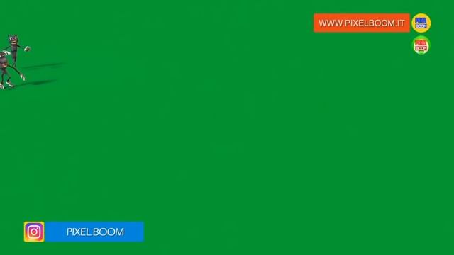 TEAM Cartoon Cat & Cartoon Dog Green Screen 3D Animation PixelBoom