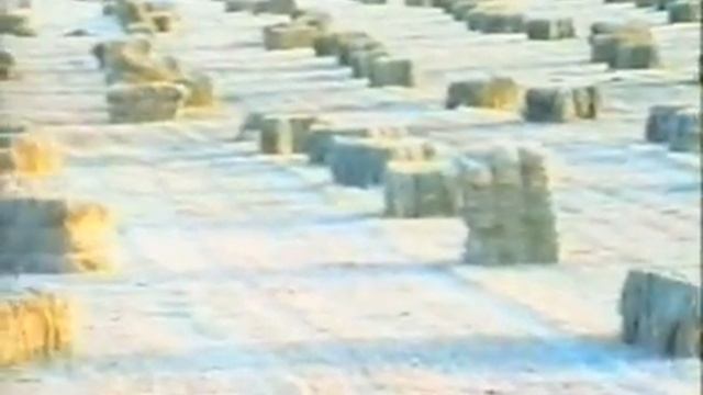 El Cubo de Don Sancho En 1995 смотреть онлайн