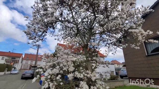 Springtime in Hutschenhausen, Germany April 3, 2021 смотреть онлайн