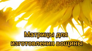 Вощина своими руками