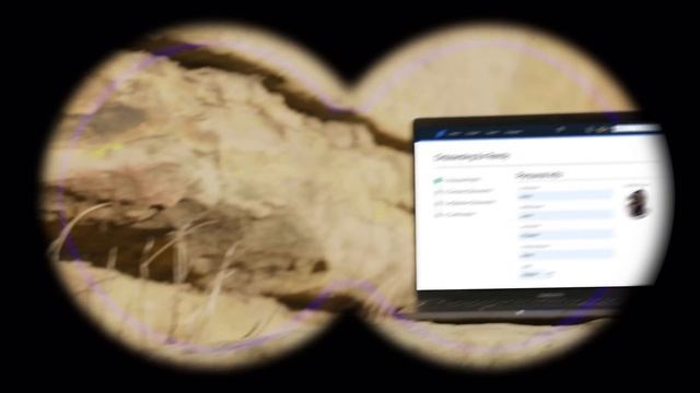 HRIS Software | Namely смотреть онлайн