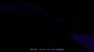 4 позиции Бруно-Лунная Мистерия (fun)