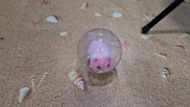 Zuru Pets Alive - Hamster Mania (Pink color; Розовый цвет) смотреть онлайн