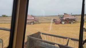 Своровали солярку.Молотим пшеницу.Новый рекорд