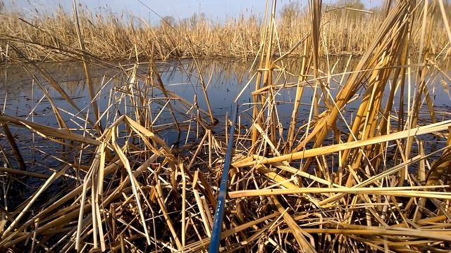 Рыбалка 2 смотреть онлайн