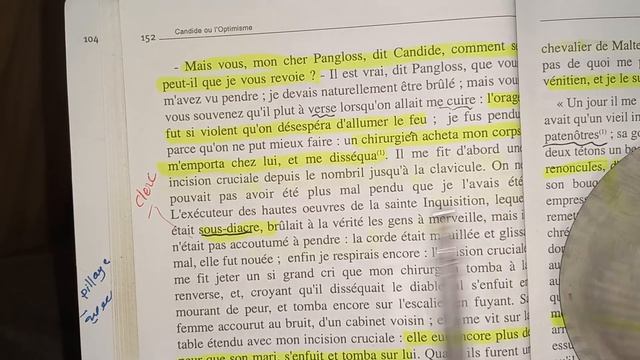 Candide chapitre 28ème lecture et explication смотреть онлайн