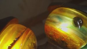 Как я стал Брутальным Столяром