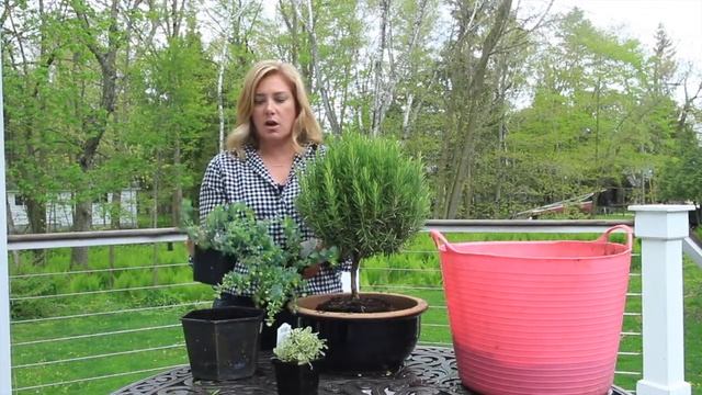 Edible & ornamental container design смотреть онлайн