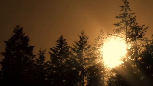 Our latest inspirational video "Remember Him..." is out. Poem by Boonaa Mohammed. смотреть онлайн