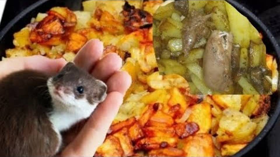 Жареная картошка с мяса ласки Weasel meat Fried potatoes weasel ( смотреть онлайн