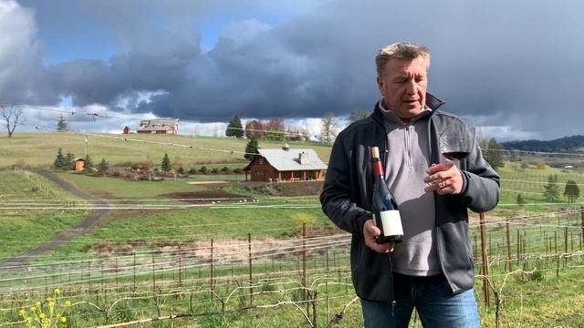 Domaine Divio Sniffy Sniff Session - 2018 Ribbon Ridge Pinot Noir смотреть онлайн
