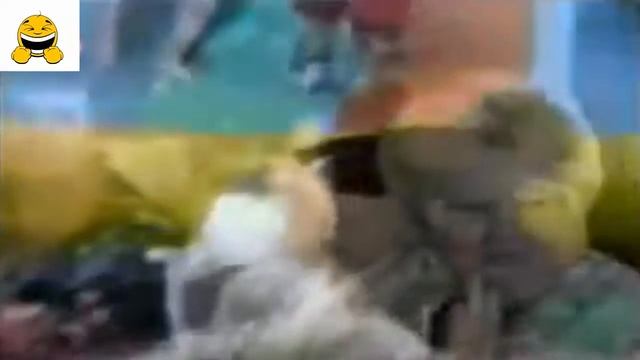 Подборка лучших приколов Лучшие приколы смешные видео ржака смотреть онлайн