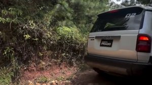 All New 2024 Toyota Prado 250 Offroad Test