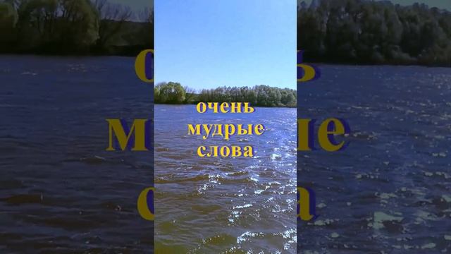 мудрые слова