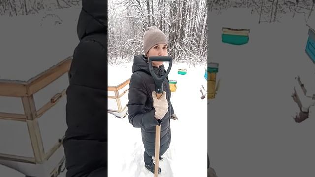 ЗИМОЙ НА ПАСЕКЕ ОБВАЛИВАЕМ УЛЬИ смотреть онлайн