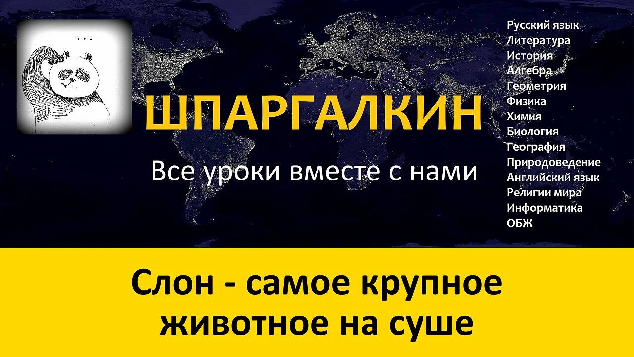 Слоны: описание, образ жизни, распространение смотреть онлайн
